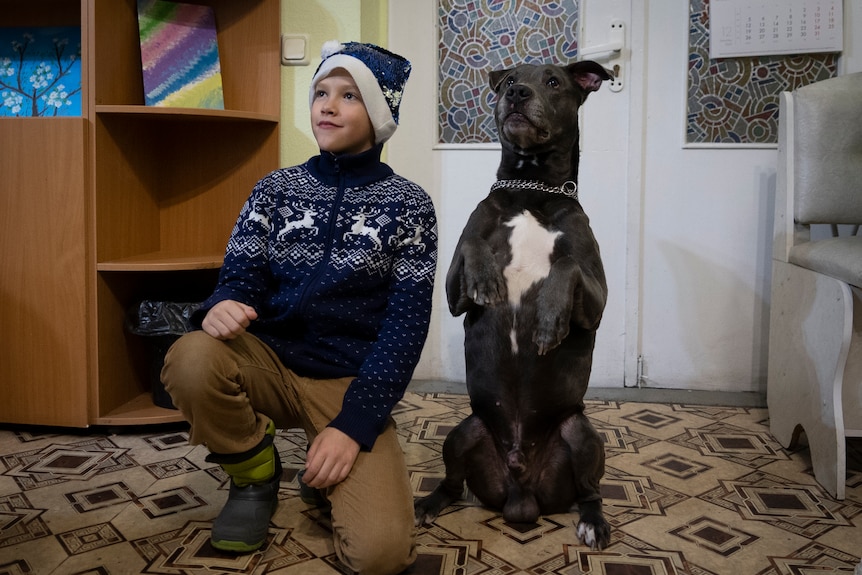 A boy in a blue christmas jumper and santa hat next to a grey dog sitting on its hind legs