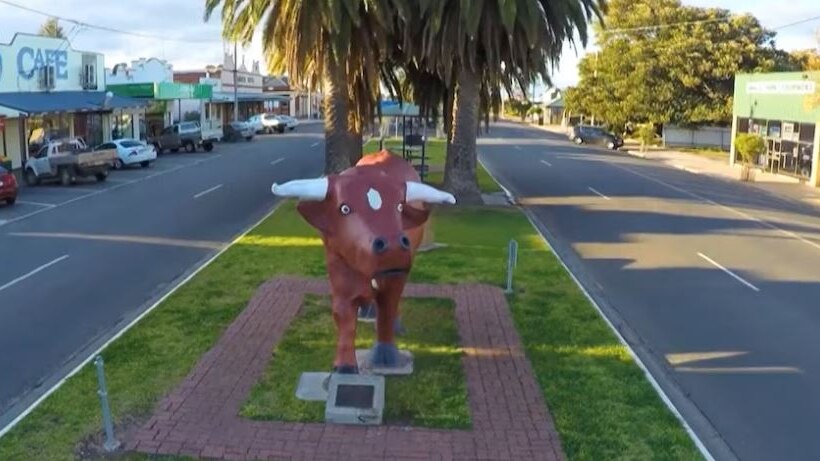 A large sculpture of a brown and white bull in the median strip of a country town's main street.