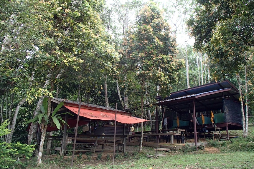 A photo of University of Sweden researchers Niles Hasselquist and Ulrik Ilstedt at a jungle camp last year.