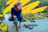 A woman uses an electric saw on a deck, for a story about frugal living tips.