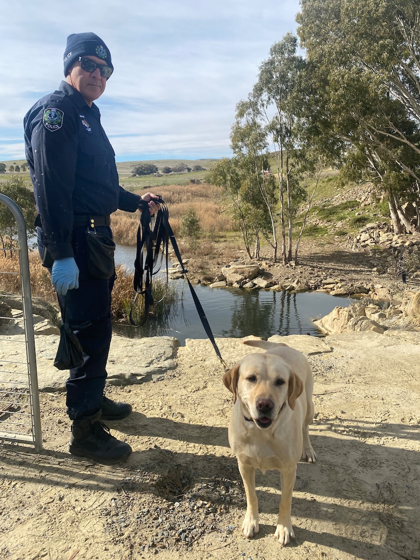 A police officer with a labrador on a lead