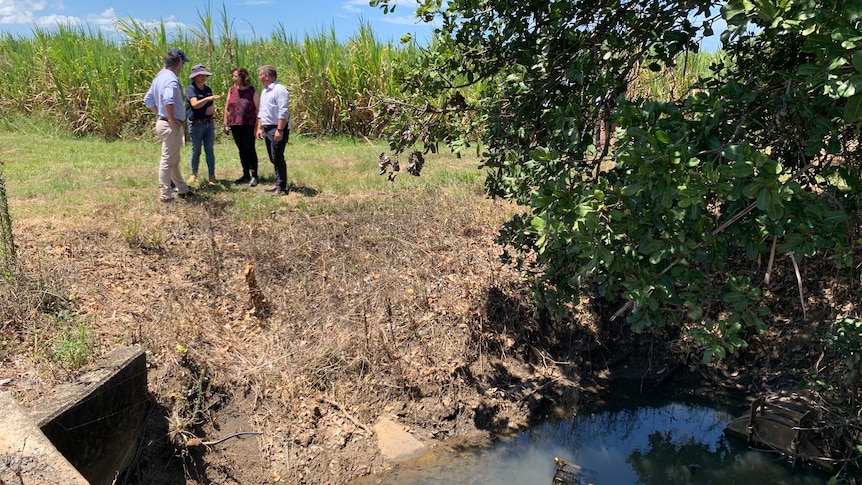 NSW Ag Minister on cane farm, south of Wardell