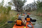 A group of people in canoes paddle down a creek