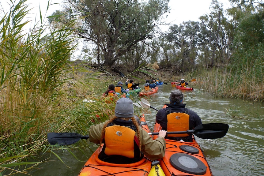 A group of people in canoes paddle down a creek