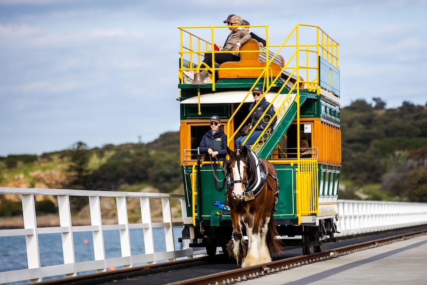 A horse on a jetty pulling a tram with an island and sea in the background