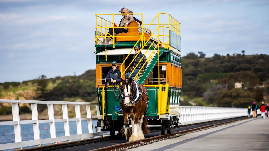 A horse on a jetty pulling a tram with an island and sea in the background