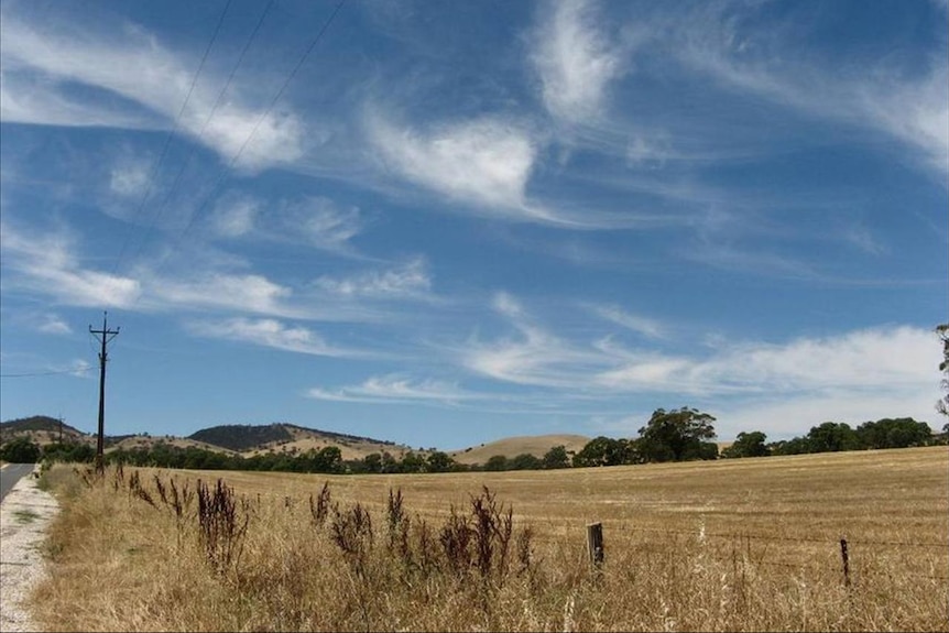 Rural landscape