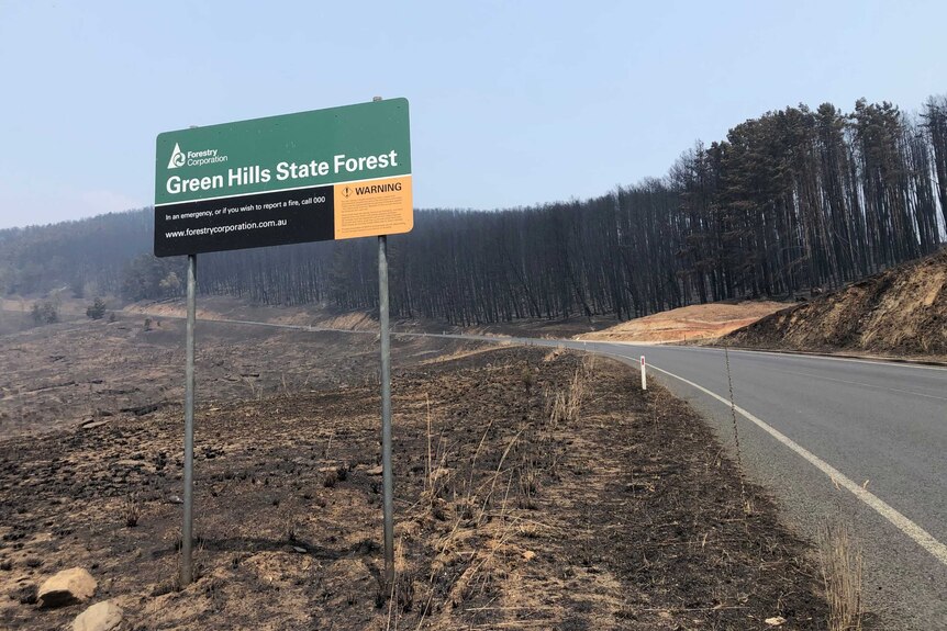 A Green Hills State Forest sign with burnt pine plantation in the background