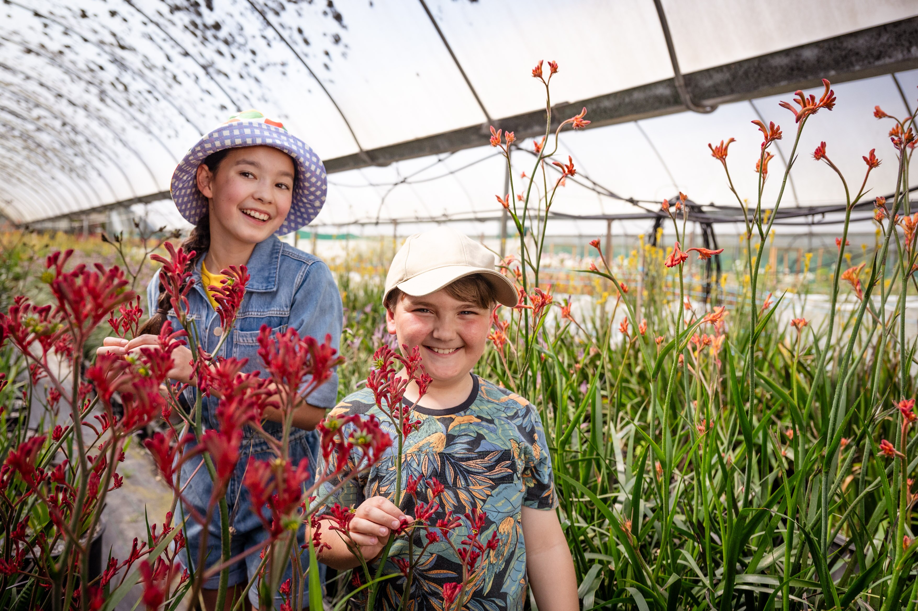 two child presenters in a garden of flowering Kangaroo Paw plants 