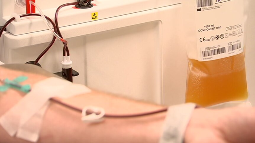 Blood runs through tubes connected to a person's arm.