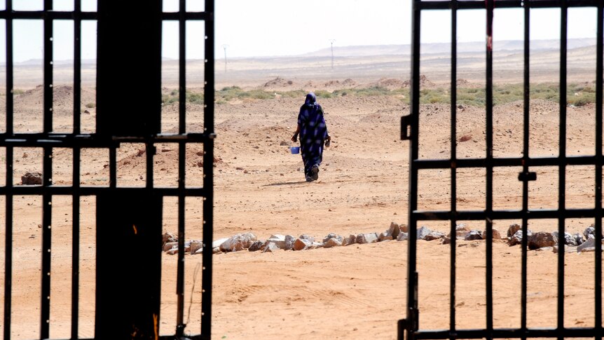 A Sahrawi woman walks in the desert