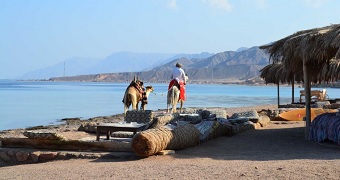 A man is riding a camel while he leads another camel near a bay.