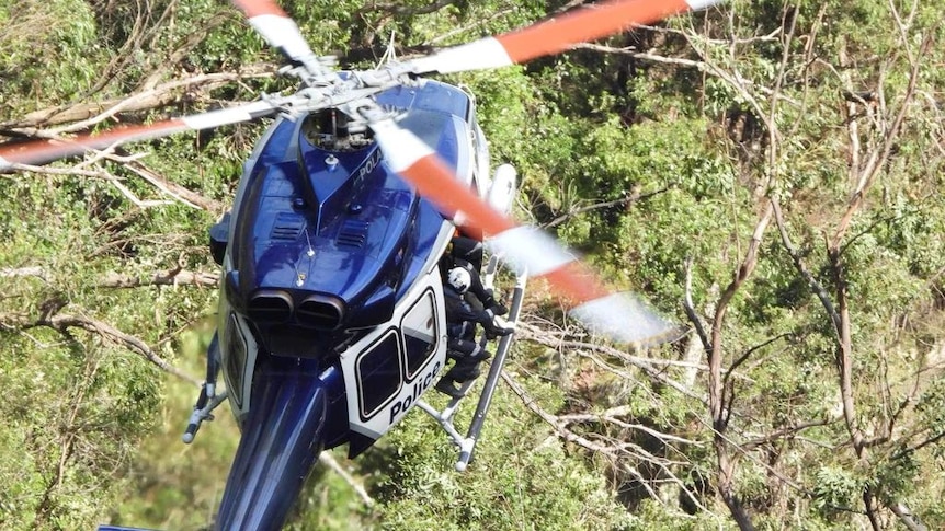 Video taken by an observer from above looking down on a helicopter searching bushland above trees