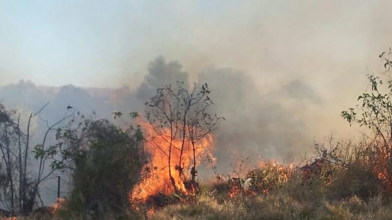 A grass fire threatens properties in Mt Isa