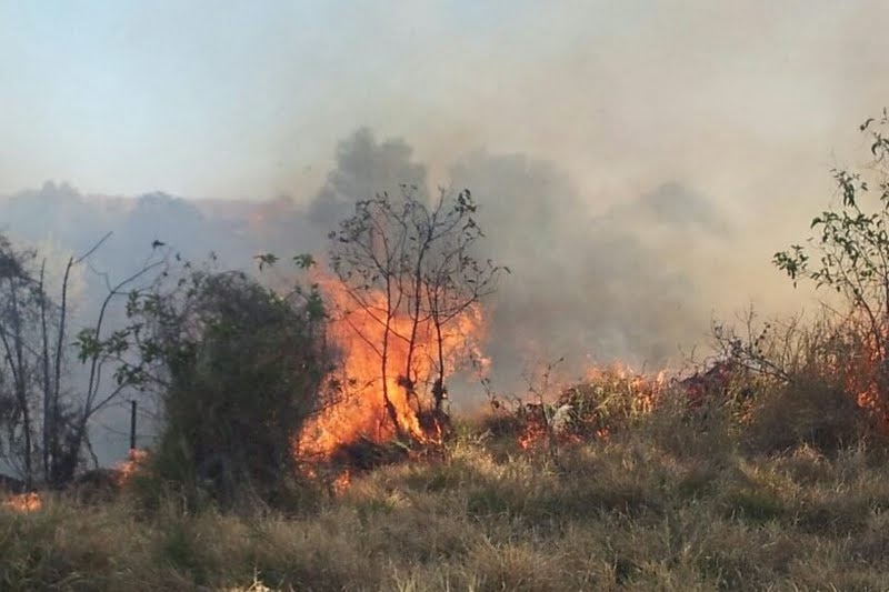 Fires are continuing to burn at locations including near Cloncurry and Three Rivers in the north west of the state.