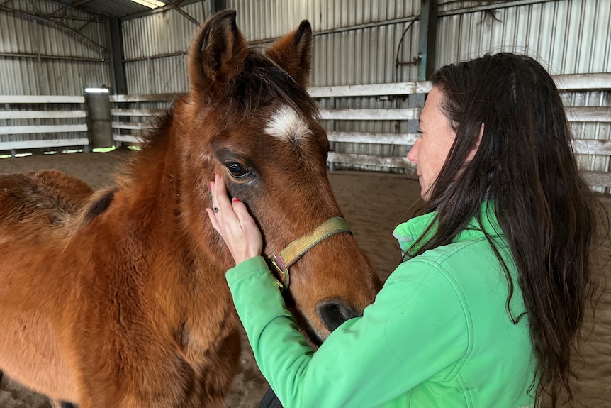 horse with woman in green top