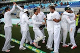 South Africa celebrates series win over Australia