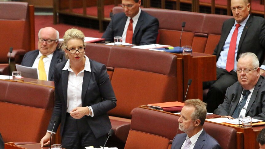 Bridget McKenzie, wearing a dark suit with white shirt, speaks while standing in the Senate surrounded by men.