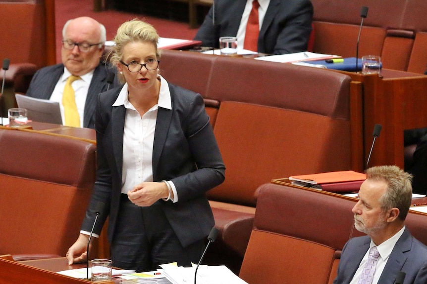 Bridget McKenzie, wearing a dark suit with white shirt, speaks while standing in the Senate surrounded by men.