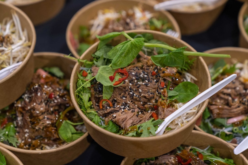 A bowl of braised lamb and noodles.