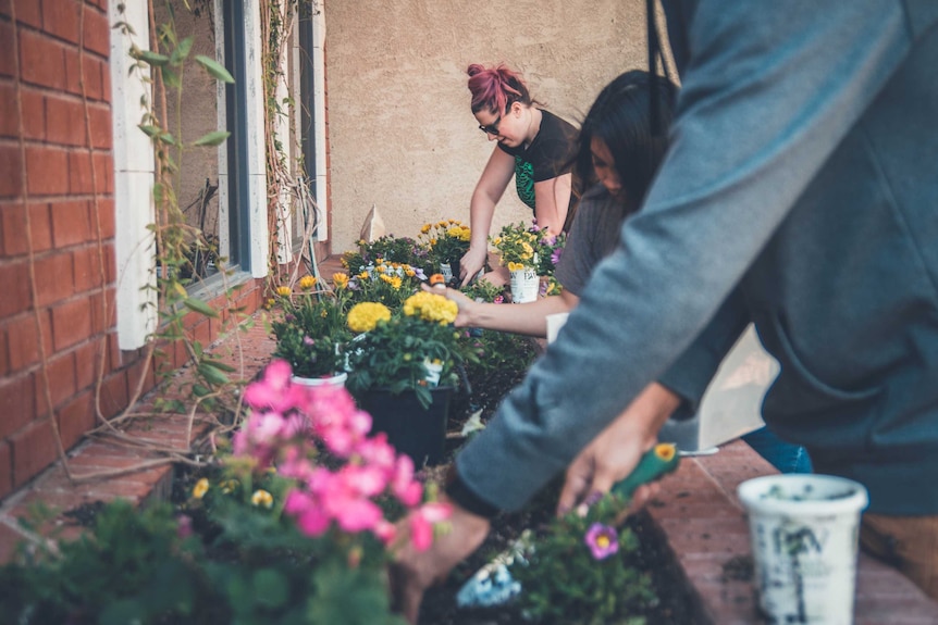 Three people plant flowers in a garden bed outside a windowsill for a story about how to maintain your first lawn and garden.