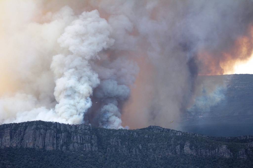 One Dead, Fears More Lives Could Be Lost As Bushfires Continue To Rage ...