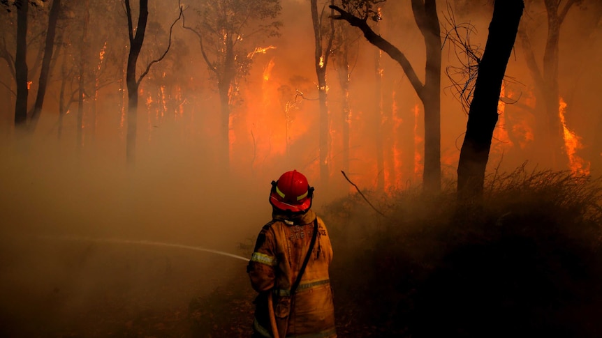 A firefighter uses a hose against a fire raging in bushland. The air is smoky and bright orange from the flames.