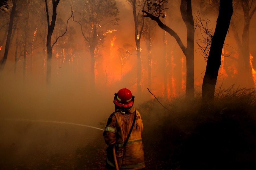 A firefighter uses a hose against a fire raging in bushland. The air is smoky and bright orange from the flames.
