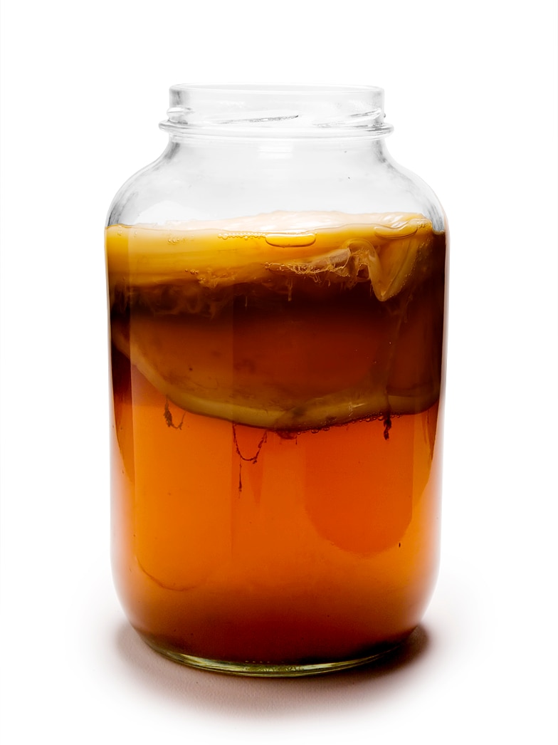 Mature kombucha, with culture, in a jar.