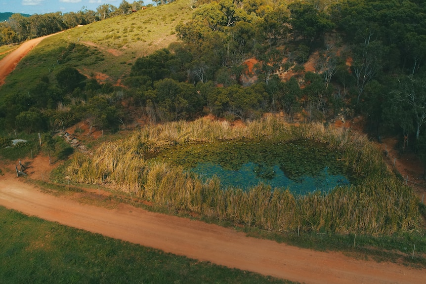 Aerial photo of a pond next to bushland