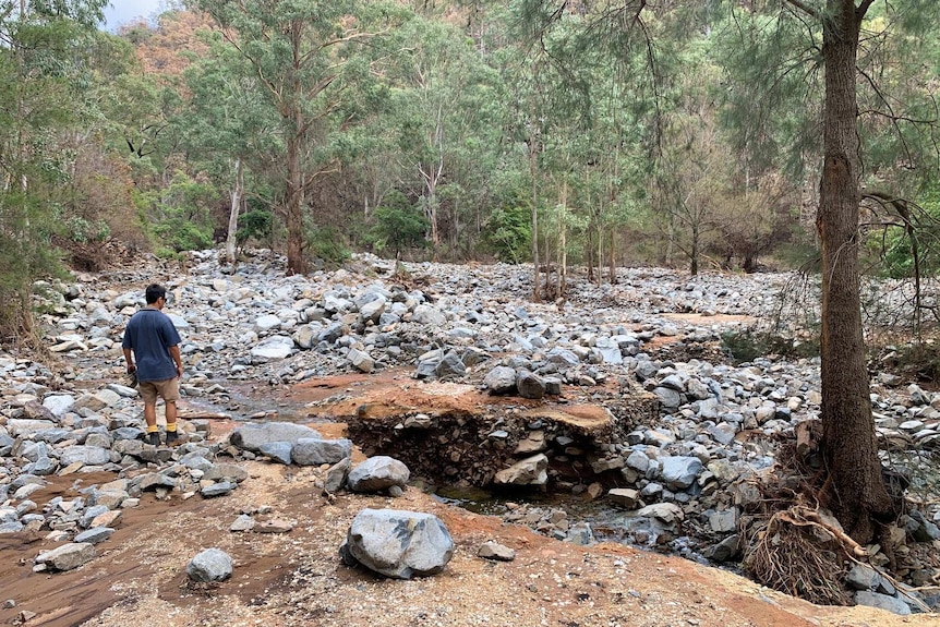 A man stands on rocks and surveys a large area where rocks have fallen across a dirt road.