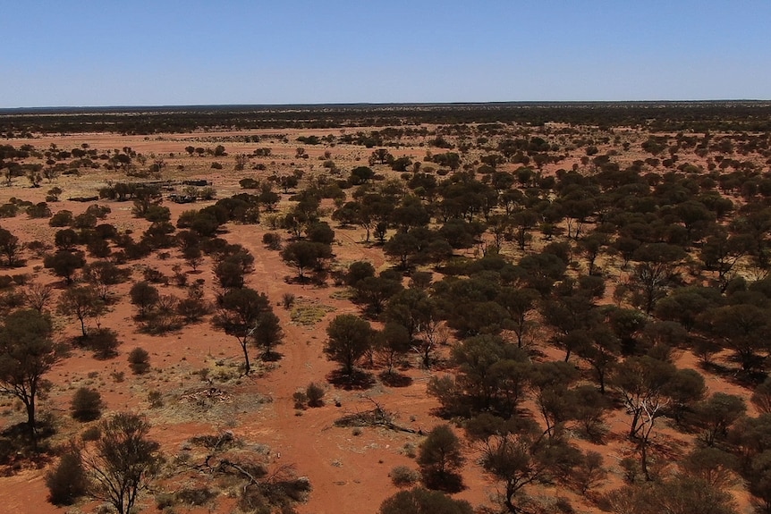 A drone shot a desert landscape