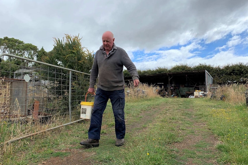 A man walks through a gate and carries a bucket of feed.