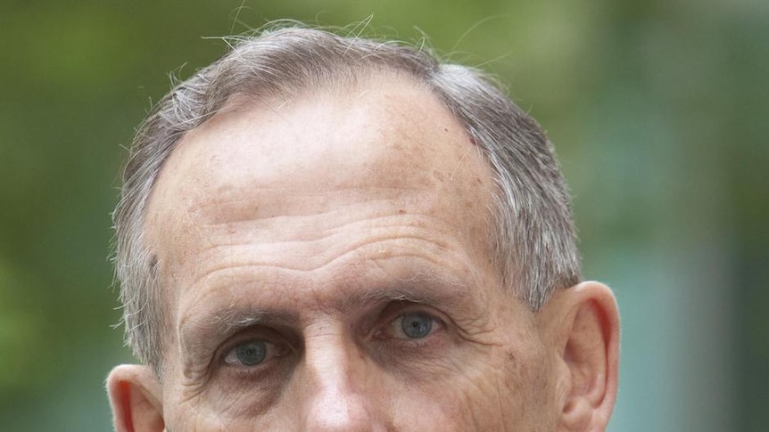 Australian Green Party leader, Bob Brown, gestures as he speaks to reporters