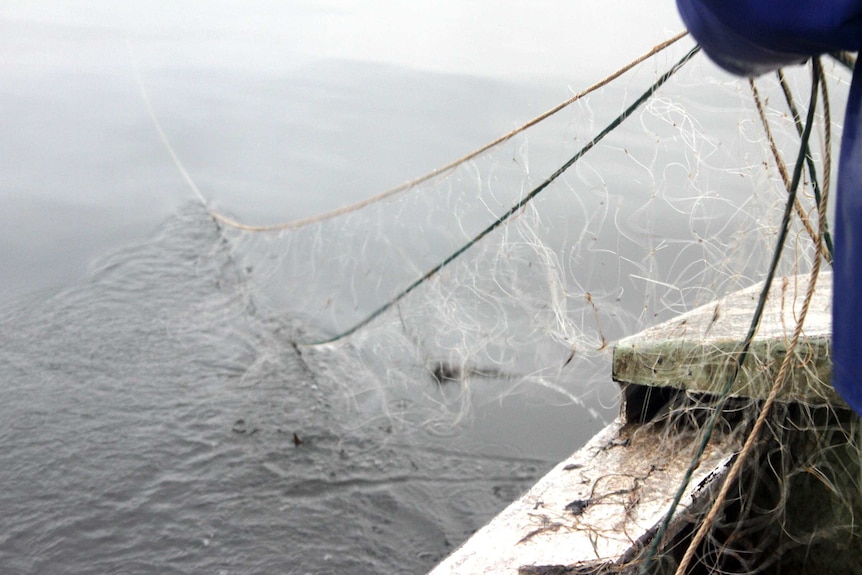 Fishing nets being hauled in by a fisherman