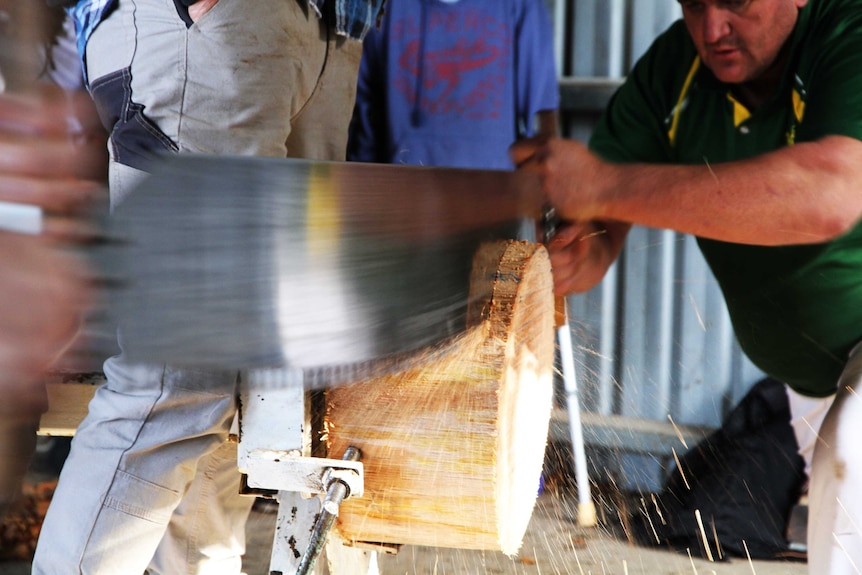 a long saw cutting through a log