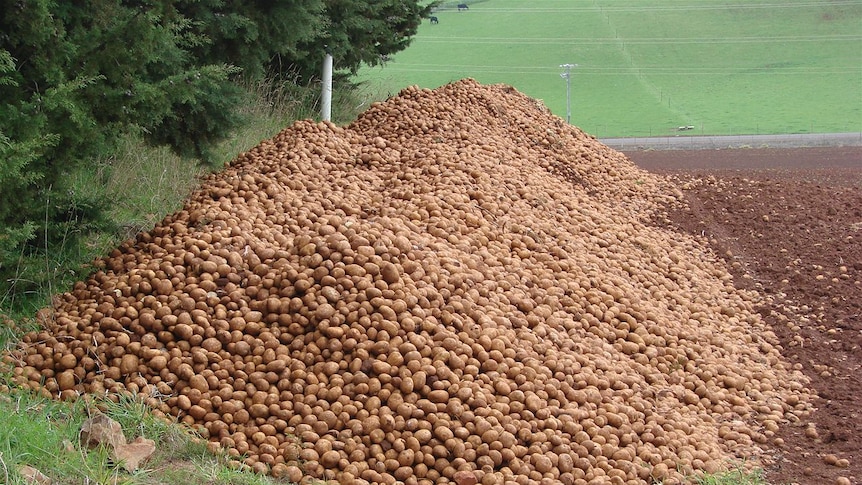 A pile of potatoes