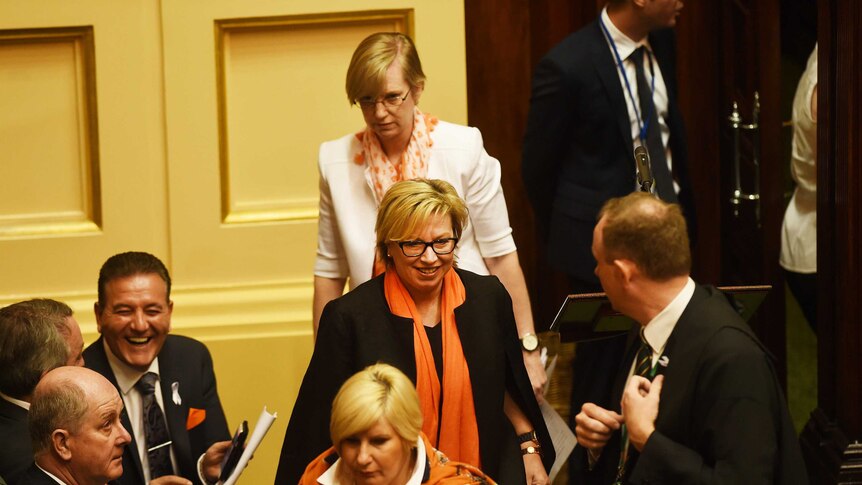 Rosie Batty addresses a joint sitting of the Victorian Parliament.