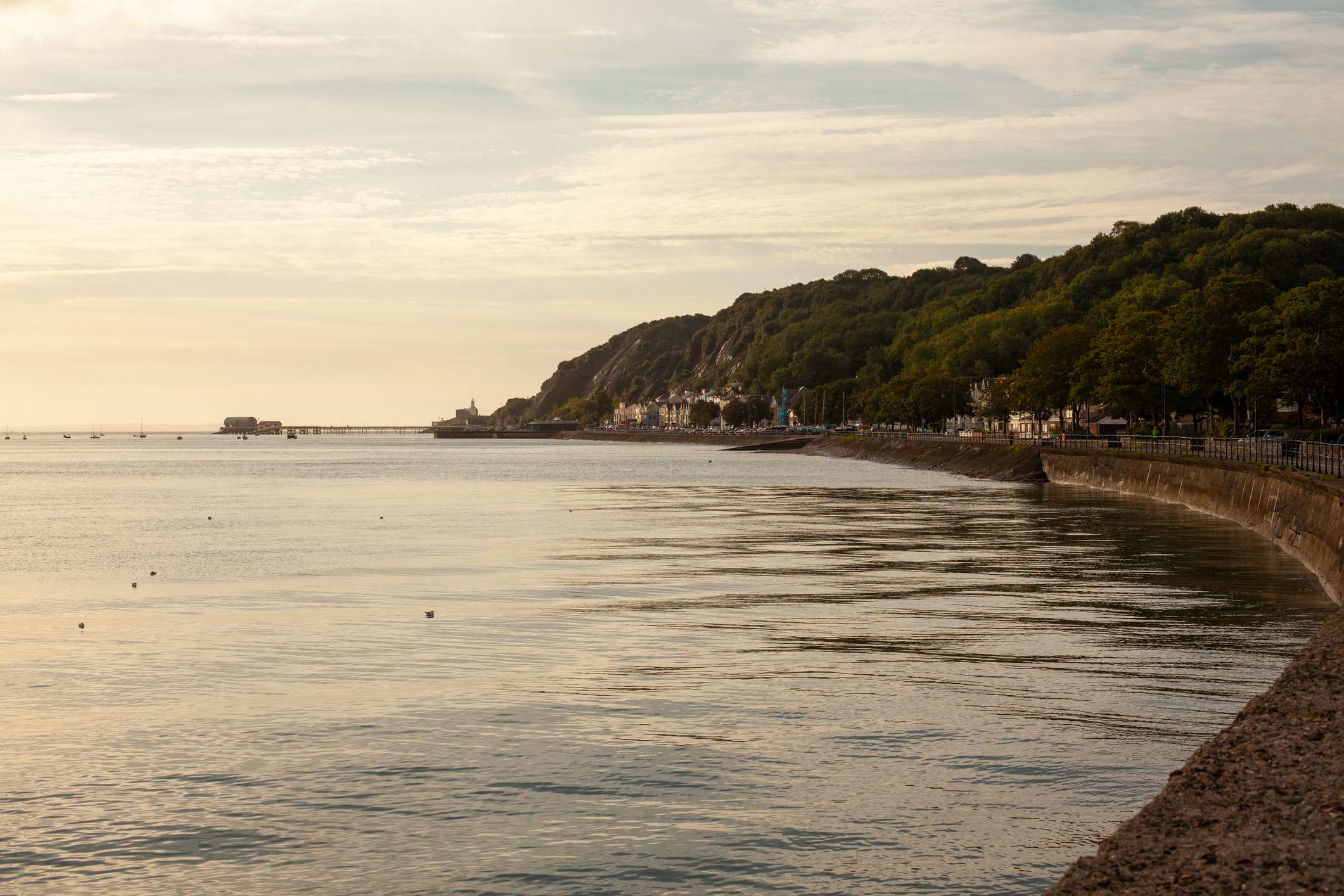Patrick McGorry's Swansea episode artwork