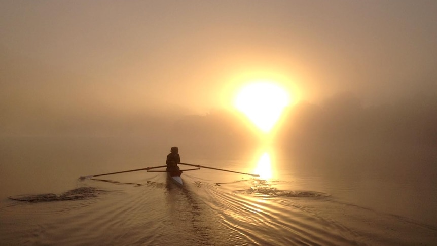 Rowers make their way through morning mist on Lake Burley Griffin.
