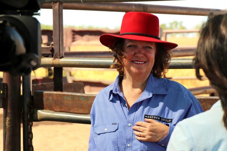 Gina Rinehart smiles while standing in front of cattle pens. She wears a red felt akubra and blue shirt.
