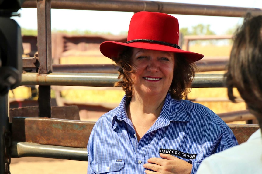 Gina Rinehart smiles while standing in front of cattle pens