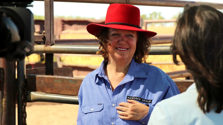 Gina Rinehart smiles while standing in front of cattle pens