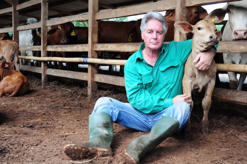 Dr Ross Ainsworth hugging a calf