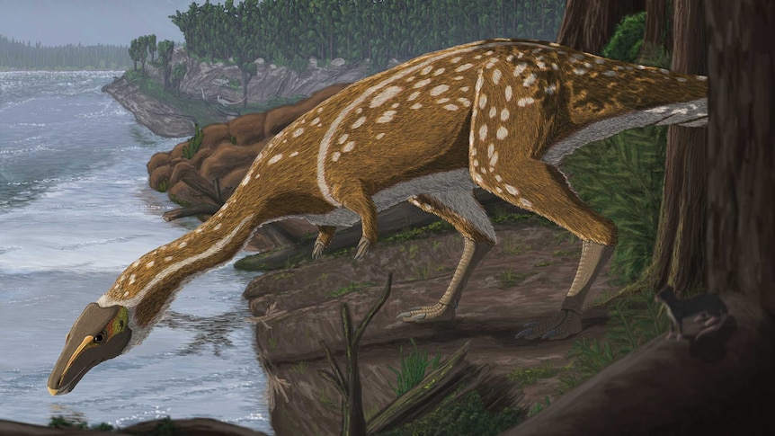 Artist's impression of an elaphrosaur