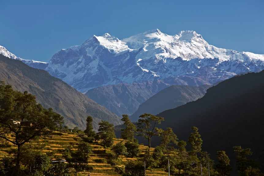 Behind a wide expanse of green bushland sits enormous, snow-capped mountains, under a blue sky.