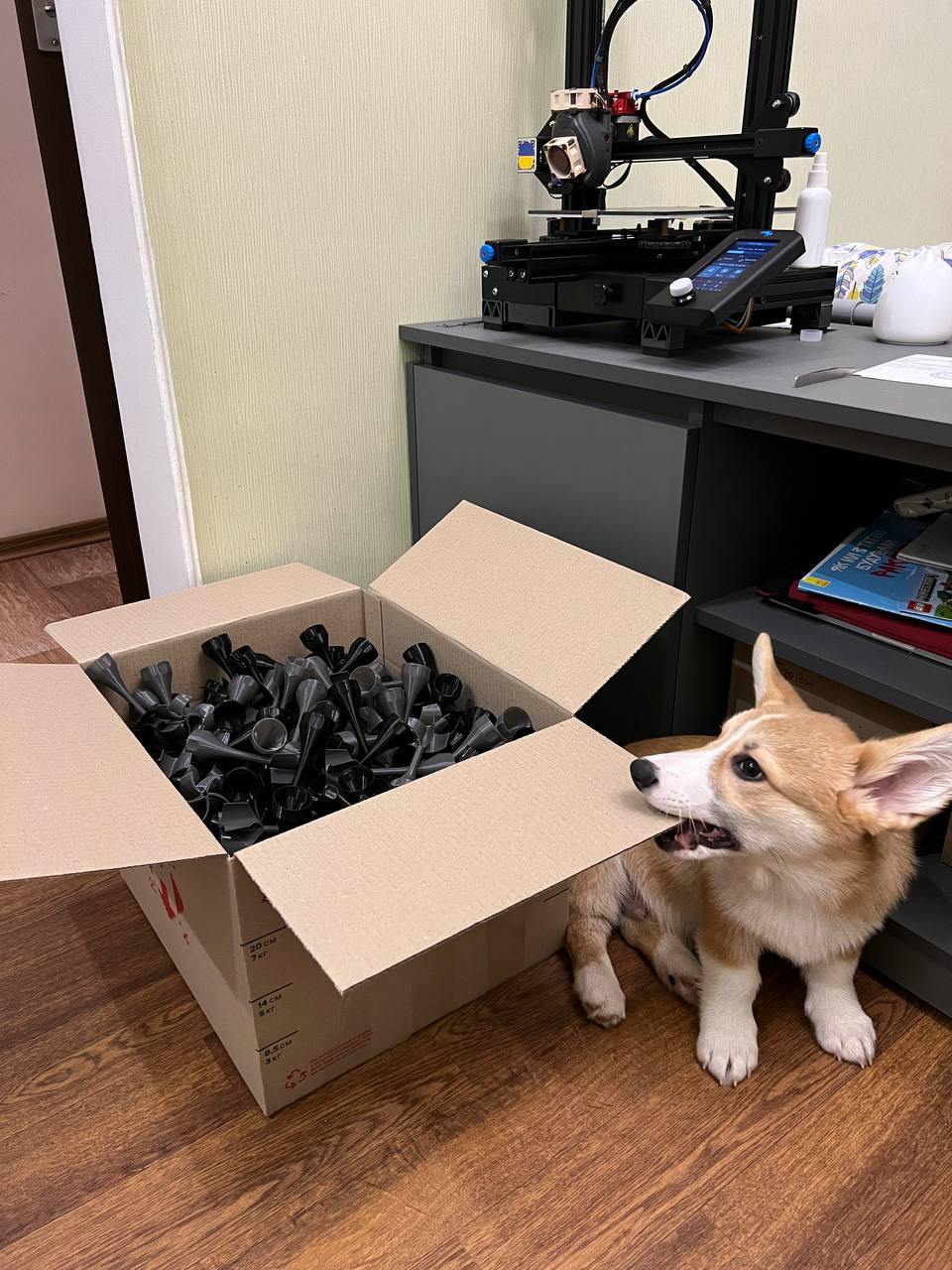 A dog bites a box with 3D printed military equipment 