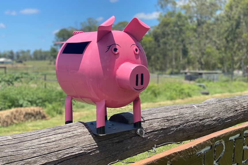 A pink letterbox in the shape of a pig on a timber fence.
