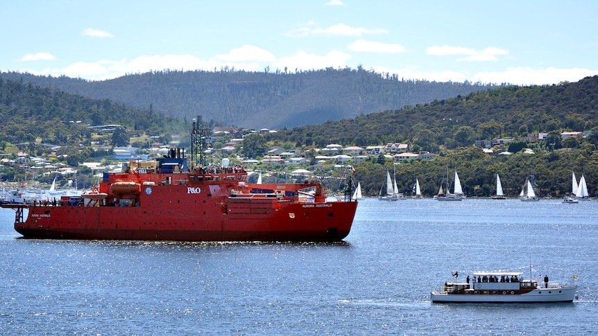 The Aurora Australis leads more than 100 boats in a sail past on Hobart's River Derwent.