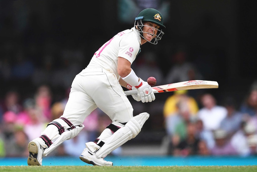 David Warner leans forward and points his bat out in front of him to start running as he watches a cricket ball